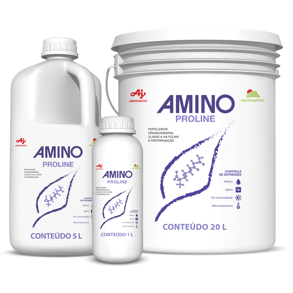 AMINO Proline