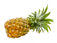 Abacaxi