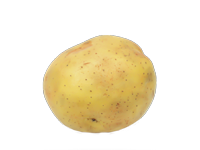 Batata