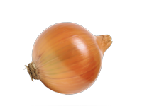 Cebola