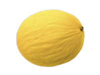 Cucurbitáceas