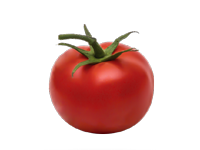 Tomate & HF