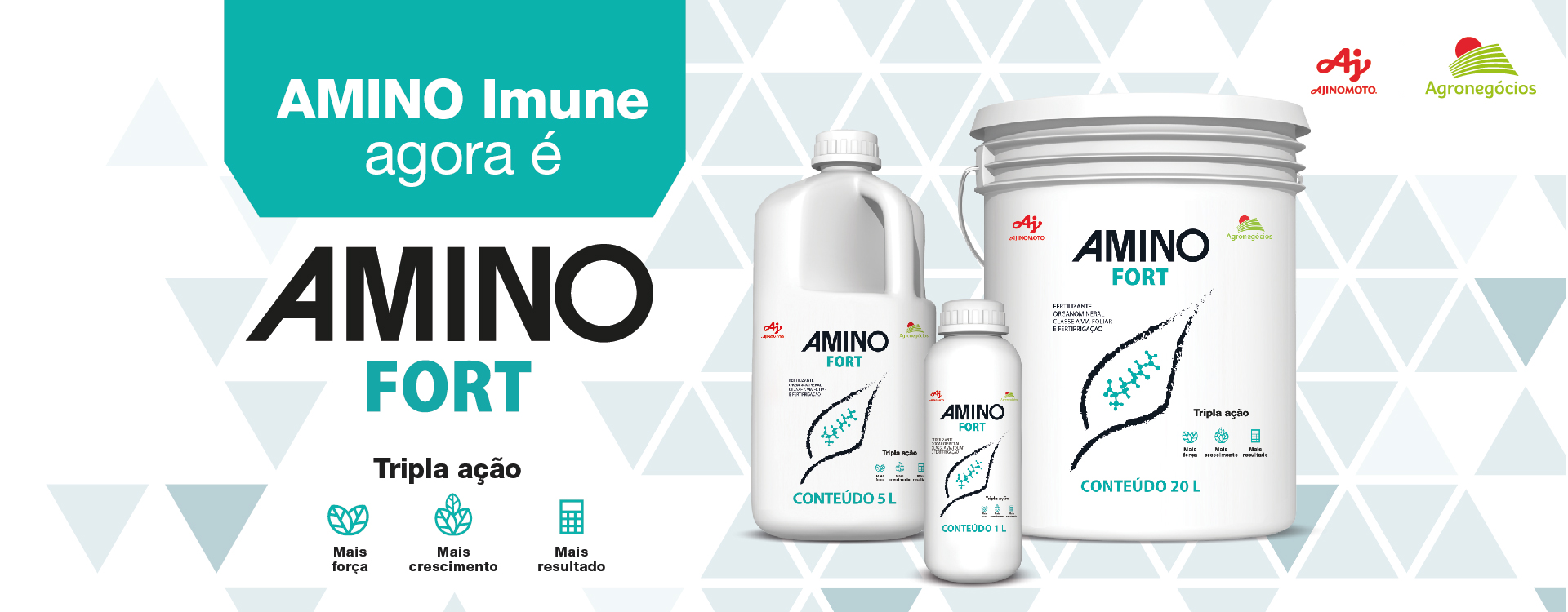 Amino Fort